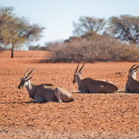 Kalahari Anib Campsite Hardap Buitenkant foto