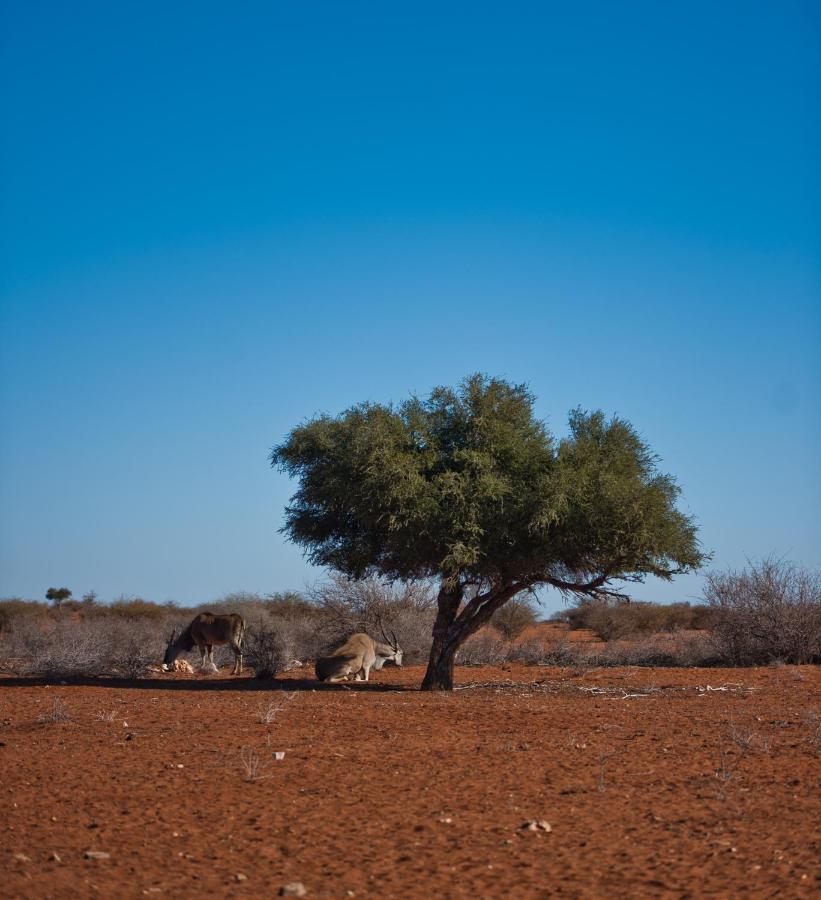 Kalahari Anib Campsite Hardap Buitenkant foto