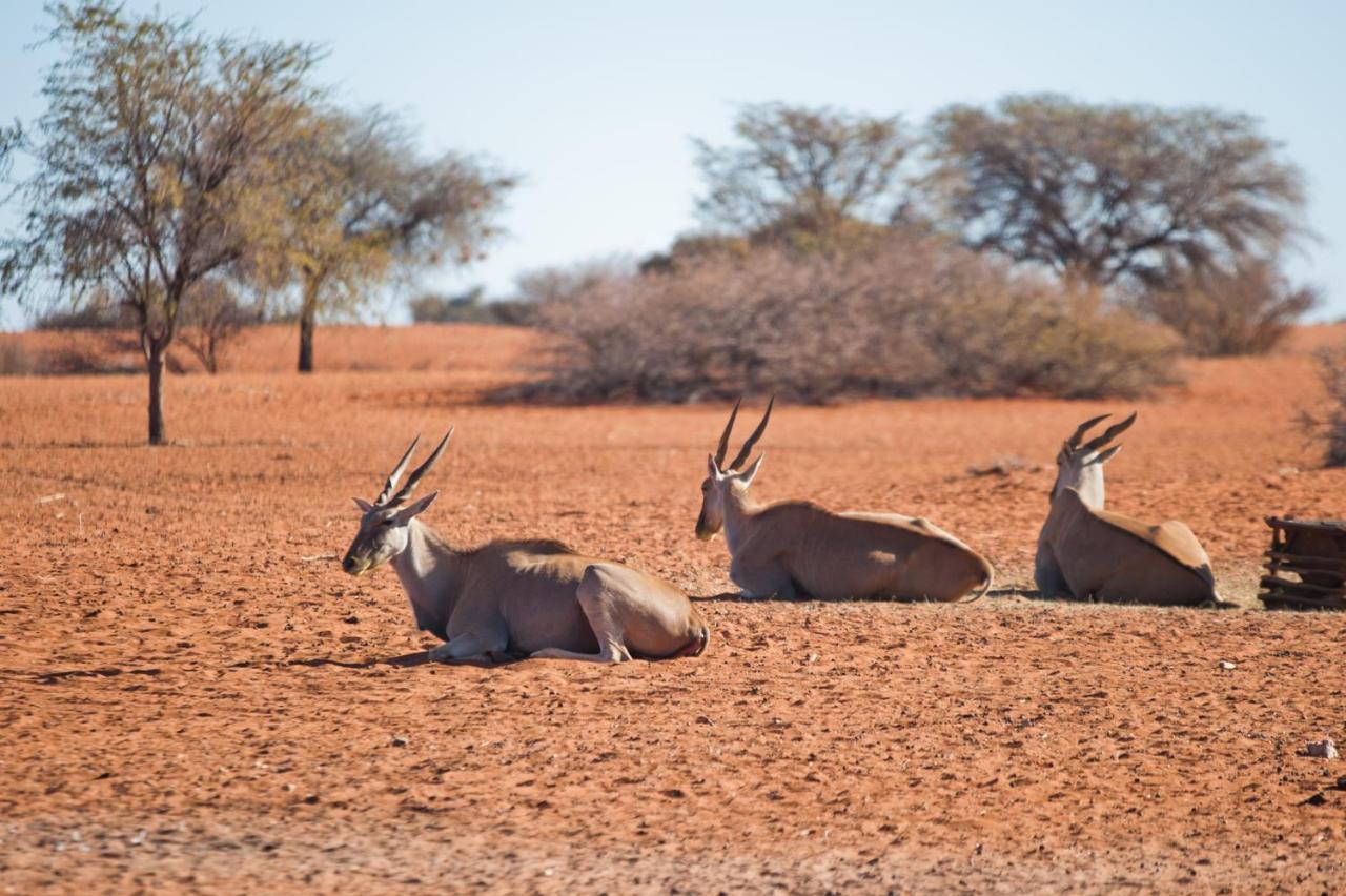 Kalahari Anib Campsite Hardap Buitenkant foto
